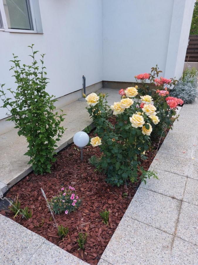 Vila Onix Săcueni Exteriör bild