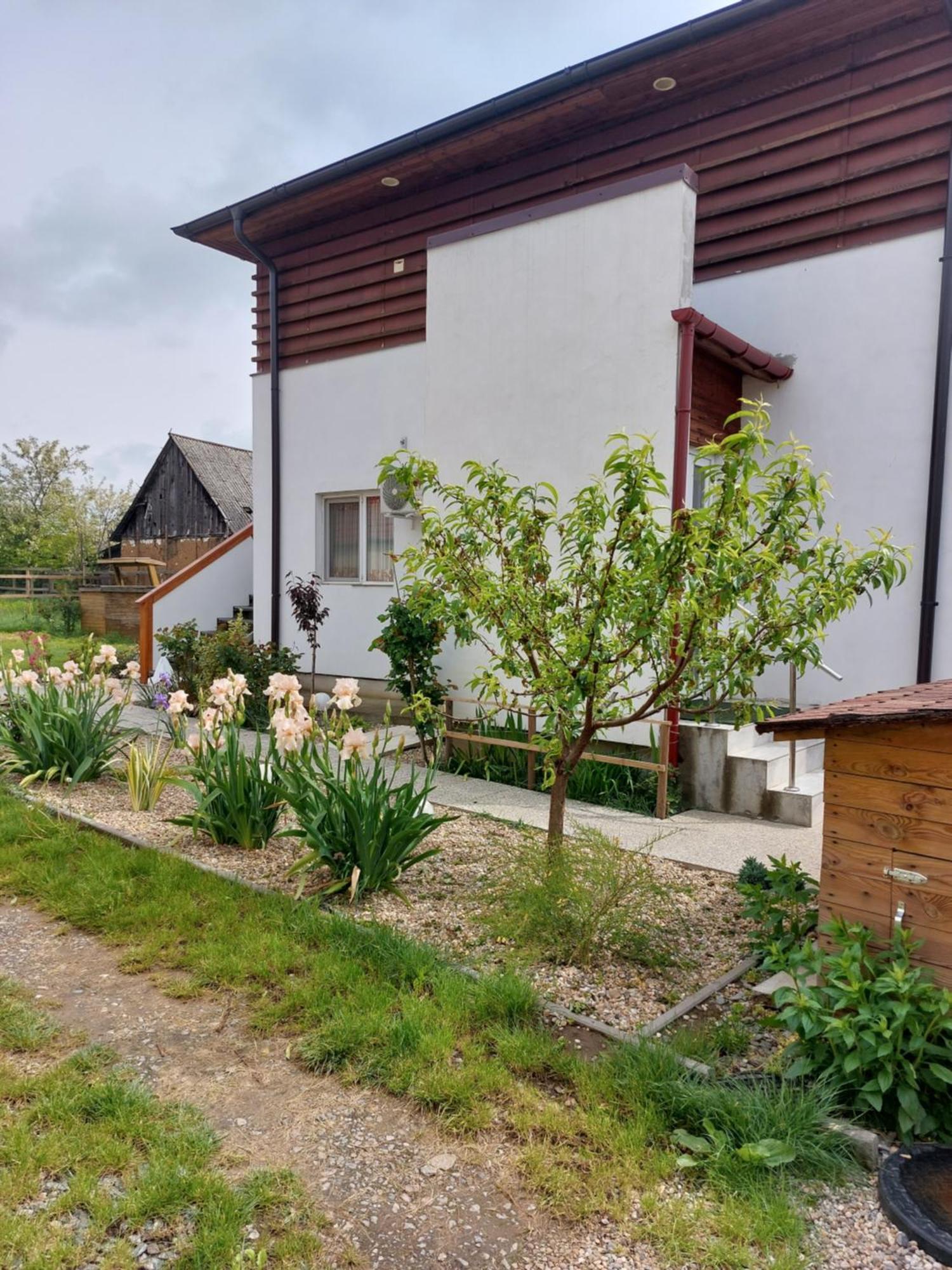 Vila Onix Săcueni Exteriör bild
